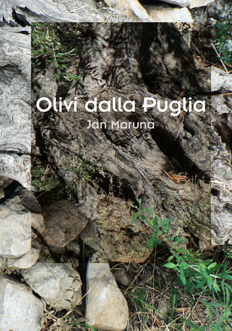 Olivi dalla Puglia