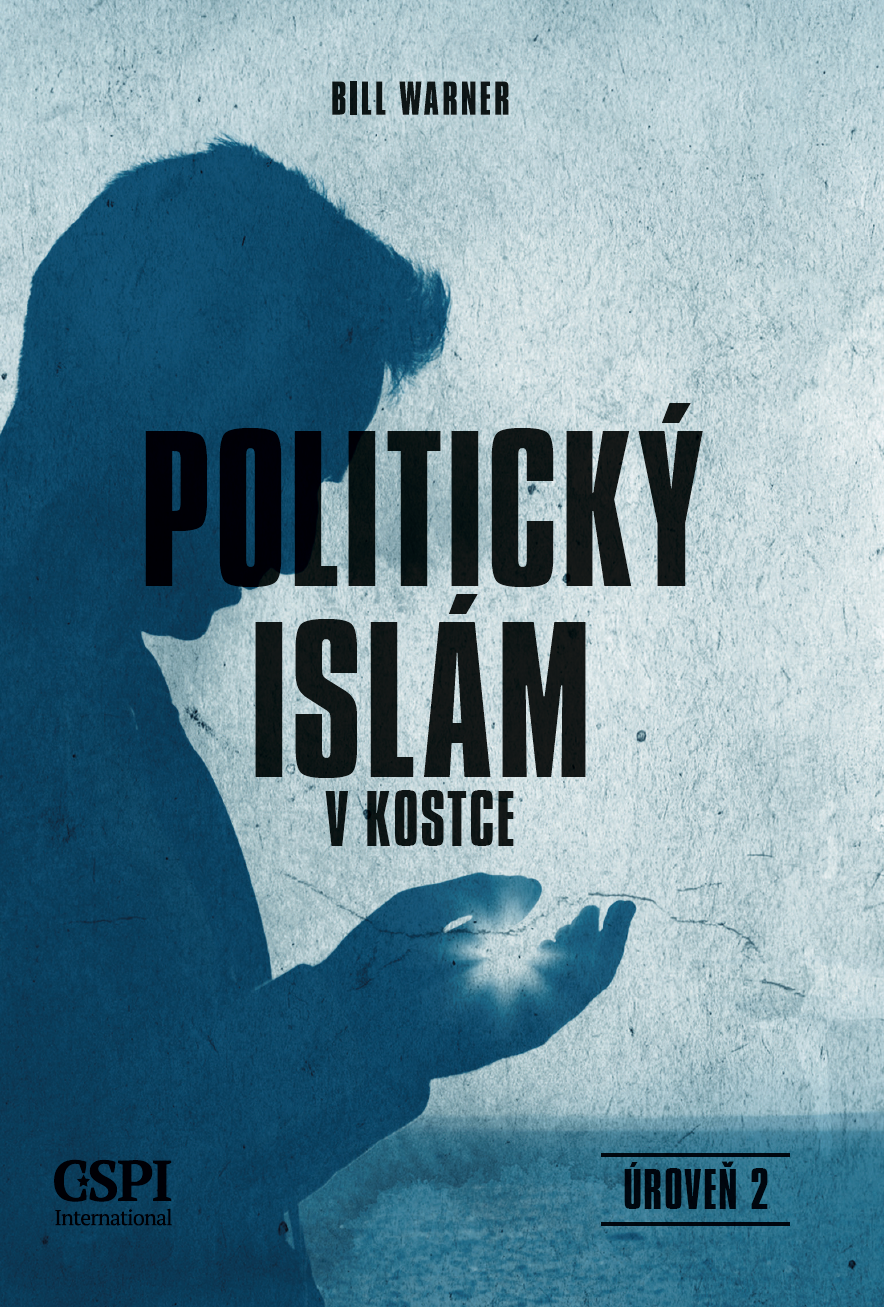 Politický islám v kostce, úroveň 2
